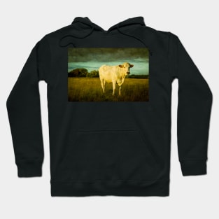 Bullock#2 Hoodie